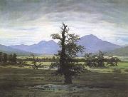 Caspar David Friedrich The Lone Tree (mk09`) oil painting artist